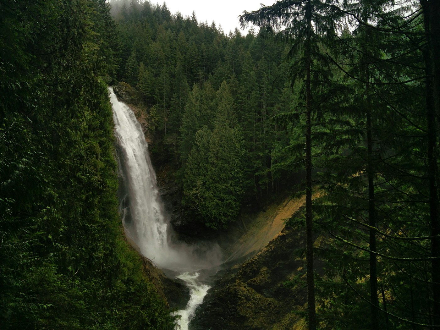 10 Washington Trails That Locals Wish Stayed Secret