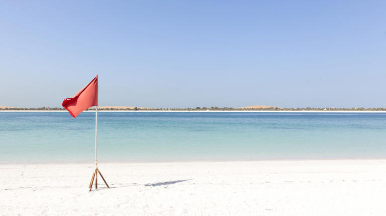 What Do Beach Flag Colors Really Mean?