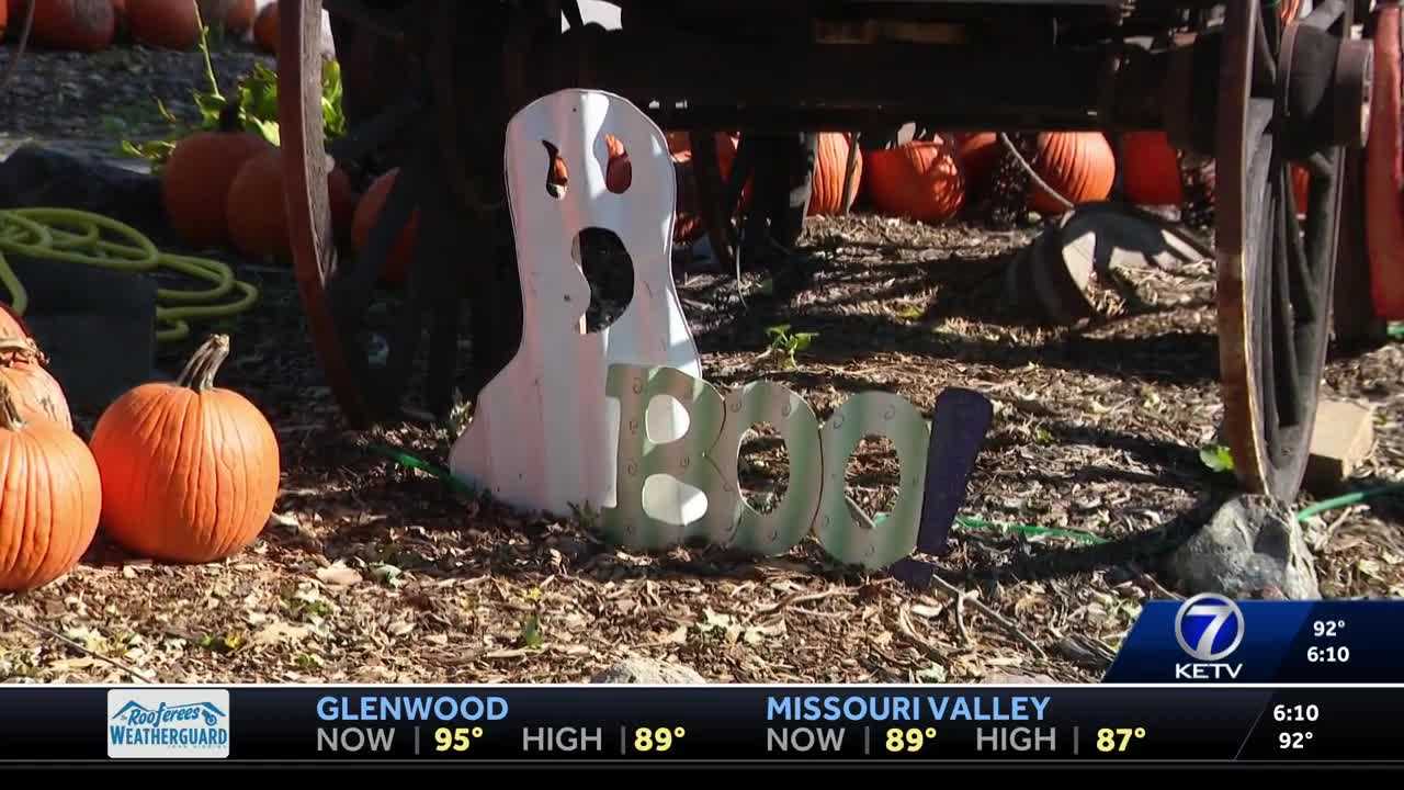 Bellevue Berry and Pumpkin Ranch kicks off 2025 fall season, offering ...