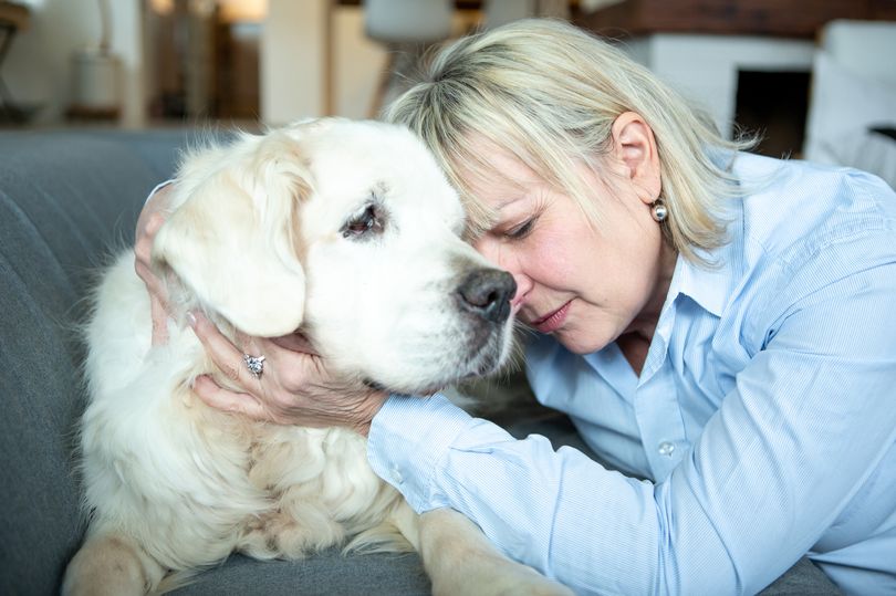 'Easy to miss' sign your dog is trying to tell you something important
