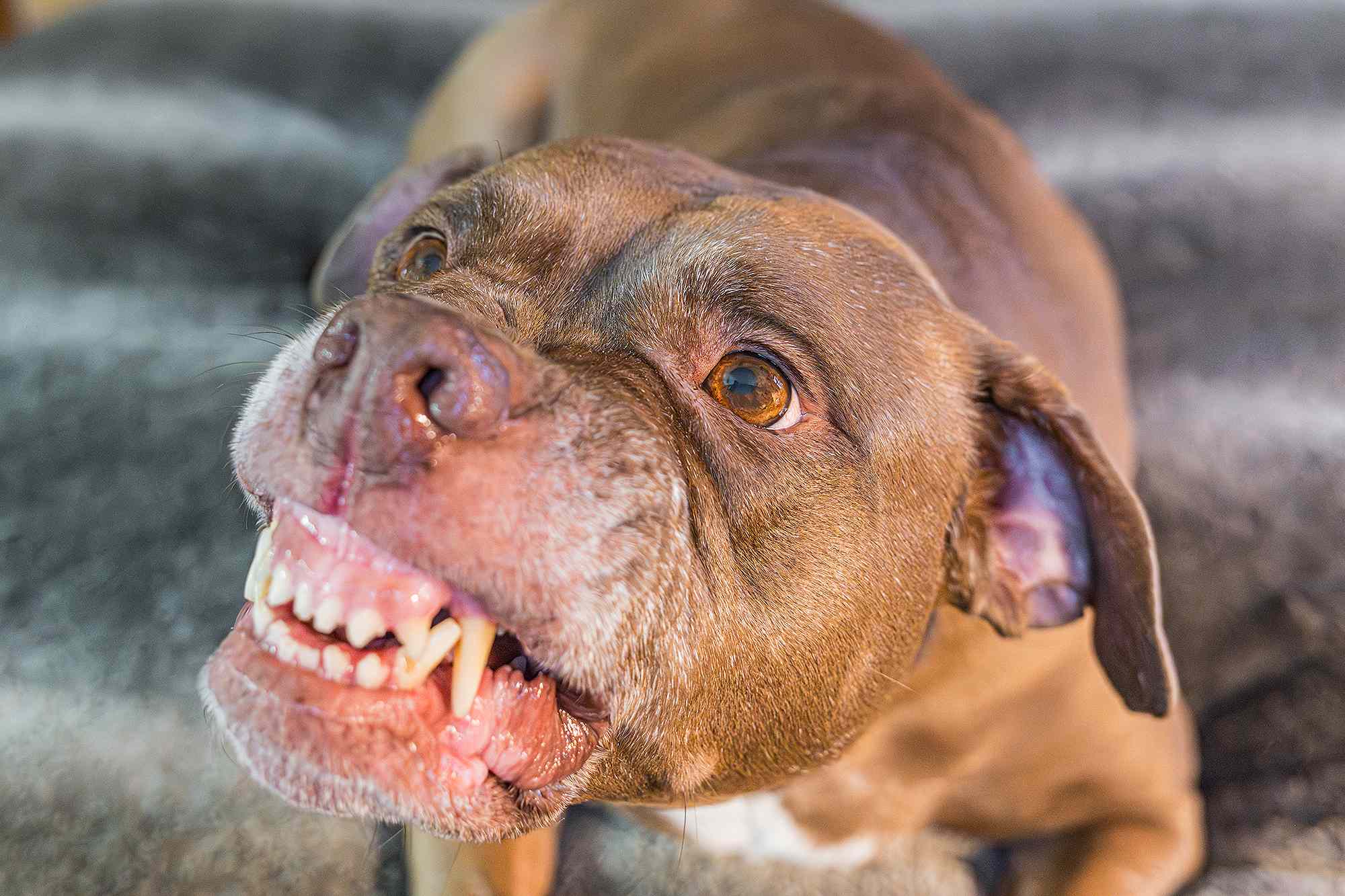 Woman, 71, Found Lying on a Front Porch with 'Severe Lacerations' After