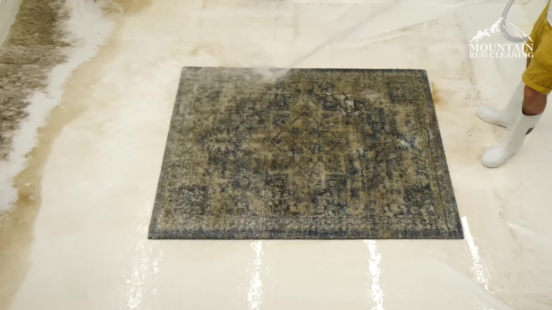 Visual Reference: Satisfying Rug Cleaning Using A Controlled Flood Technique