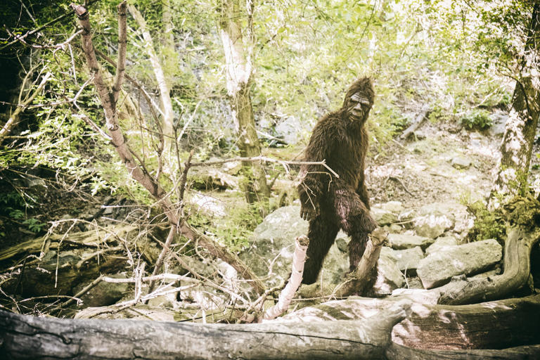 Trail Camera Purportedly Captures 'Bigfoot' Near Creek In Missouri