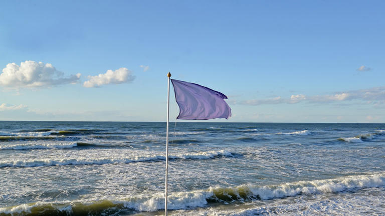 What Do Beach Flag Colors Really Mean?