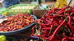Harga Pangan Turun, Tapi Rasa Khawatir Tak Lenyap