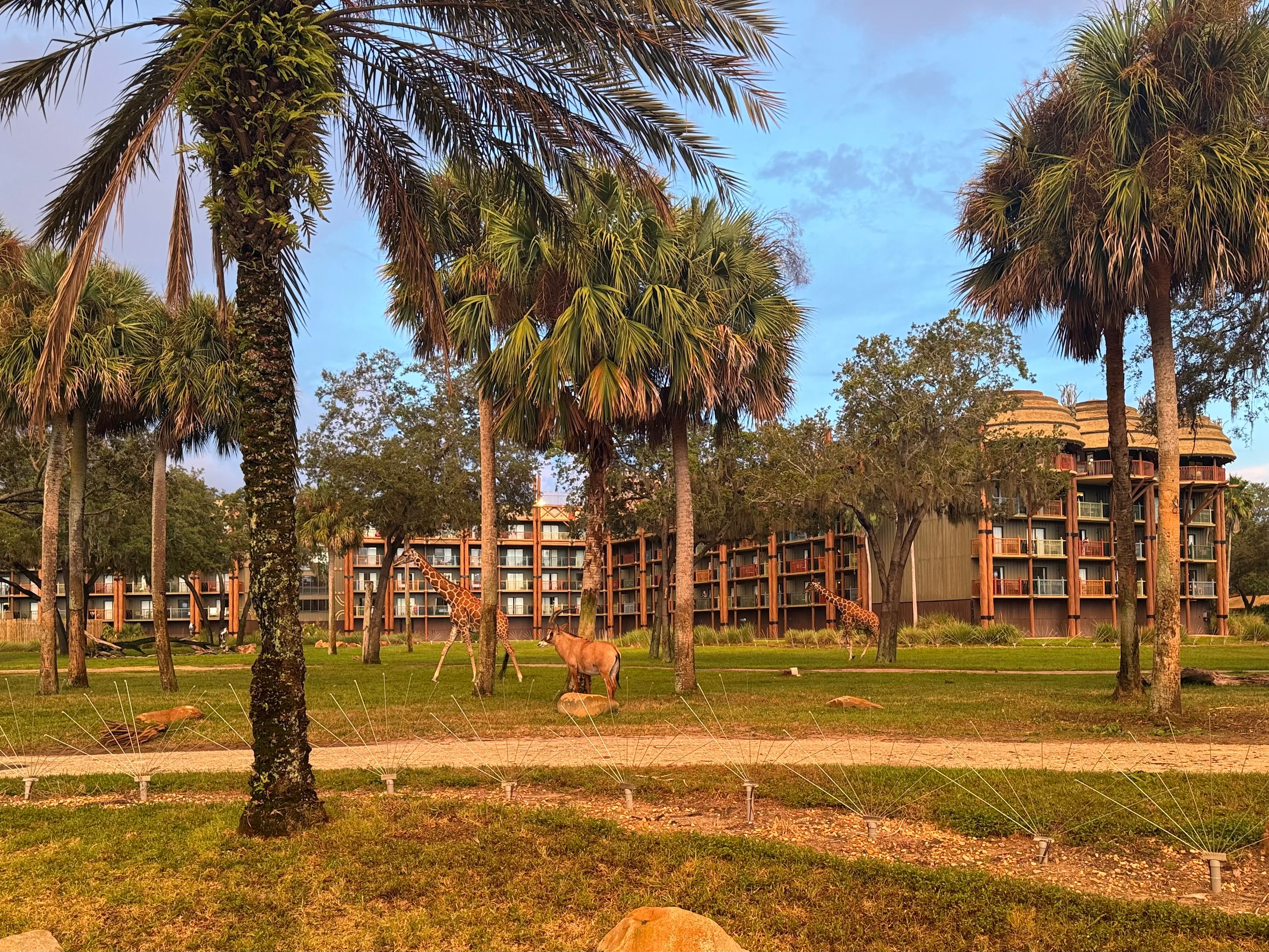 Inside the Disney bubble: What to know about Disney World’s hotels