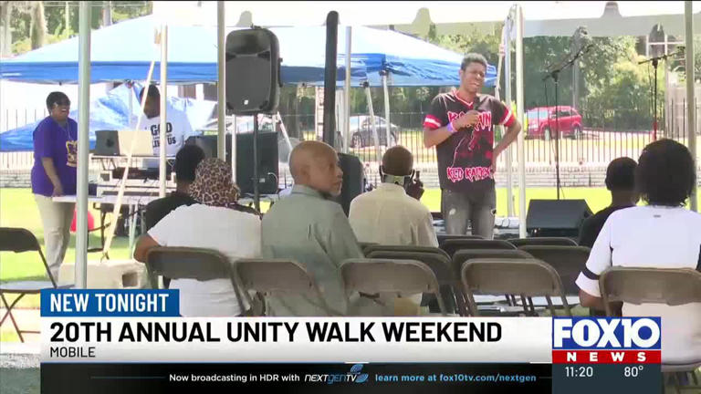 20th Annual Unity Walk Weekend At Lyons Park 