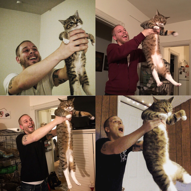 15 Photos That Are Basically Little Time Machines