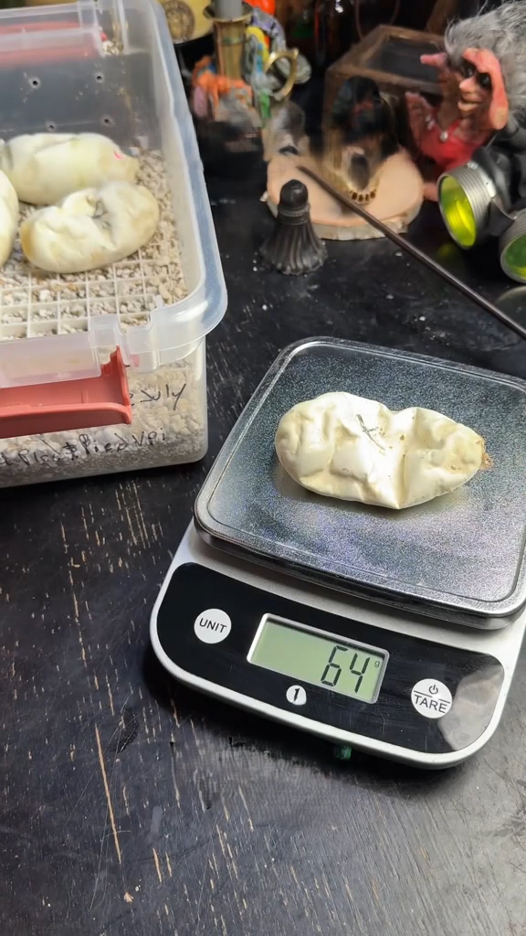 Our ugly is still rather ugly!