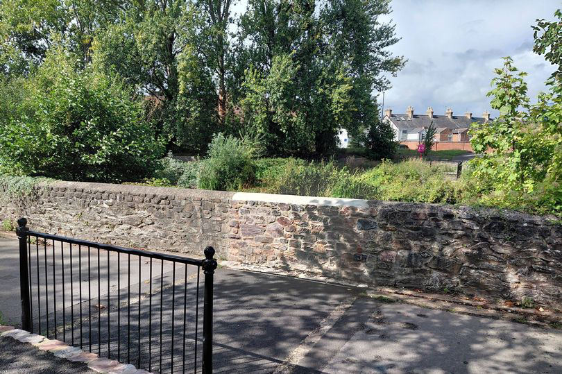 Taunton to get replacement footbridge after narrow vote Taunton to get replacement footbridge after narrow vote