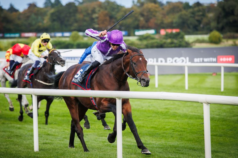 Aidan O'Brien admits Irish Champion Stakes hero might have run last race