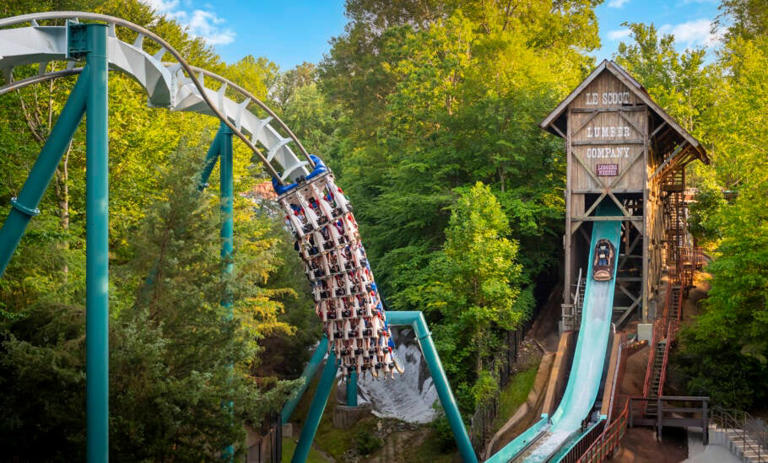 O Busch Gardens Williamsburg foi eleito o parque temático mais bonito de 2025