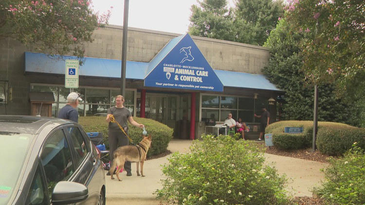 Charlotte-Mecklenburg animal control vaccinates over 200 pets during ...