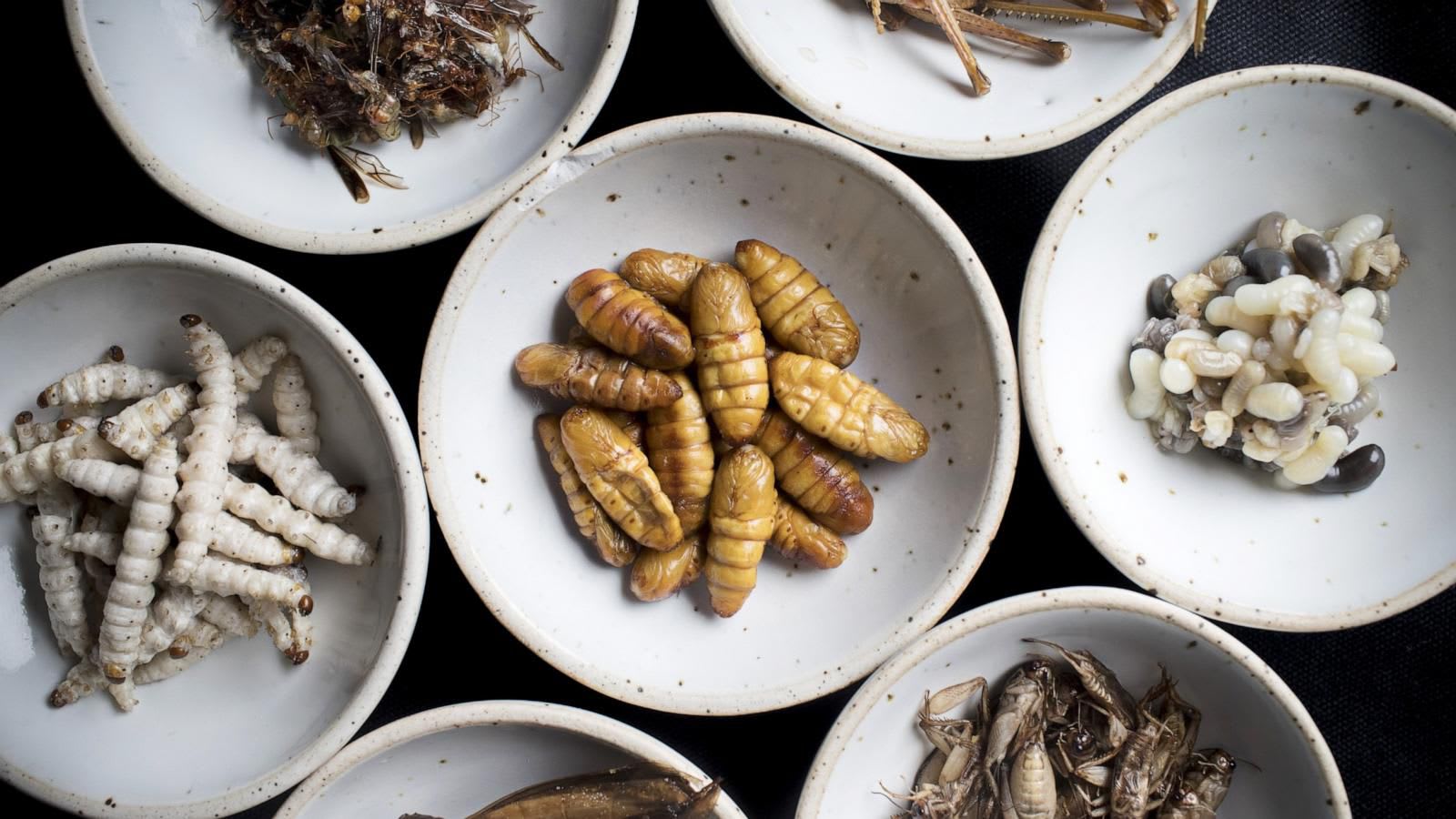 Hardship: Eat cheaper proteins like insects, frogs if you can’t afford ...