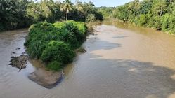 Kualitas Air Merangin Menurun, Bahaya bagi Kesehatan: 36,6 Poin