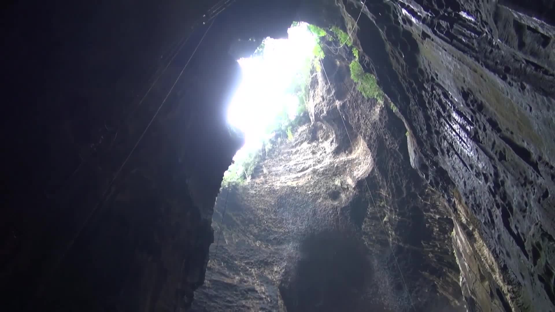 Are house centipedes dangerous? | Monster centipedes and top 10 ...