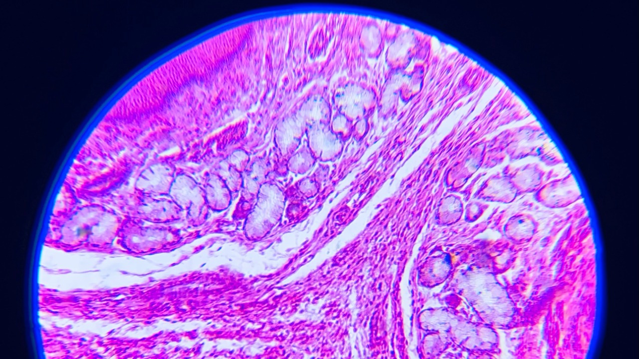 A third state between life and death hints at cell awareness