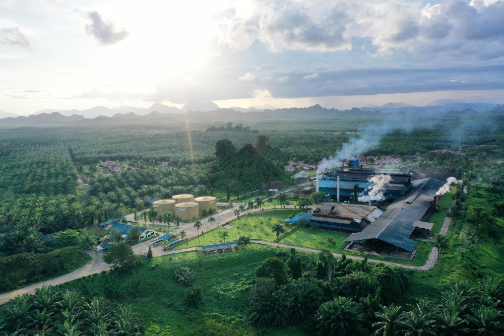 Pemicu Kenaikan Harga CPO 2025, Emiten Dapat Untung Besar
