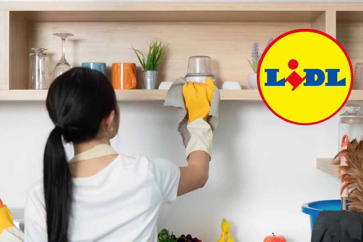 Organizer cucina a 2,99€: il metodo giapponese arriva da LIDL
