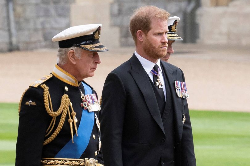 Prince Harry's 'naive' move after Charles reunion 'set alarm bells ringing  at Palace'