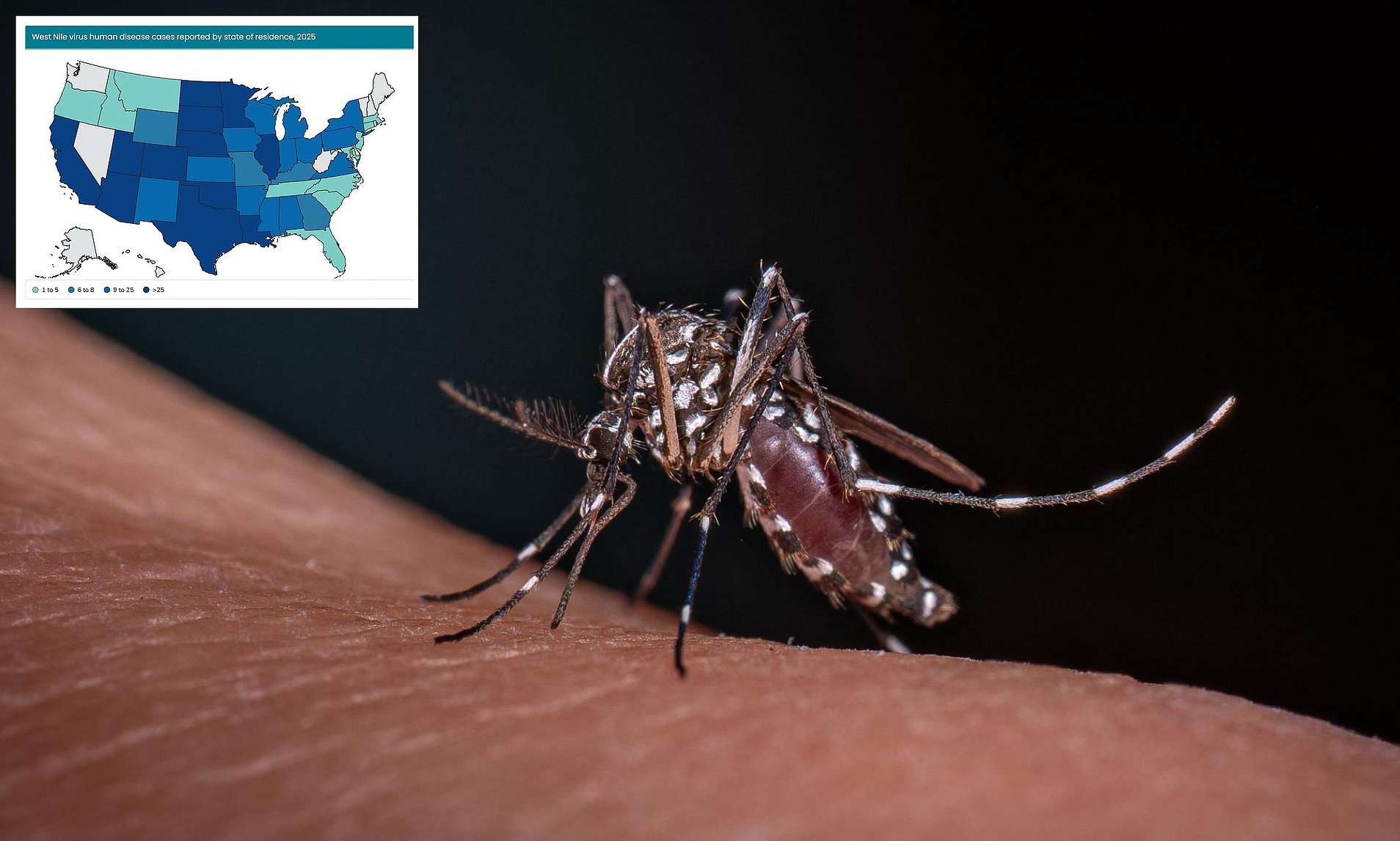 Mosquito Bite Prevention: Expert Advice for a Dangerous Season