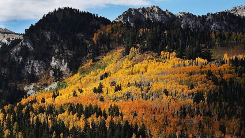 equinox metcon3 review