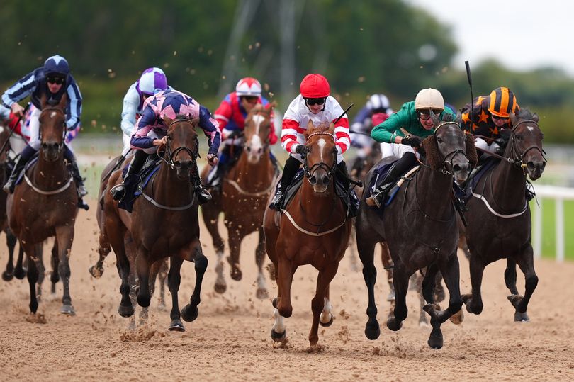 'In-form filly loves the all-weather surface' – Jason Heavey's Monday ...