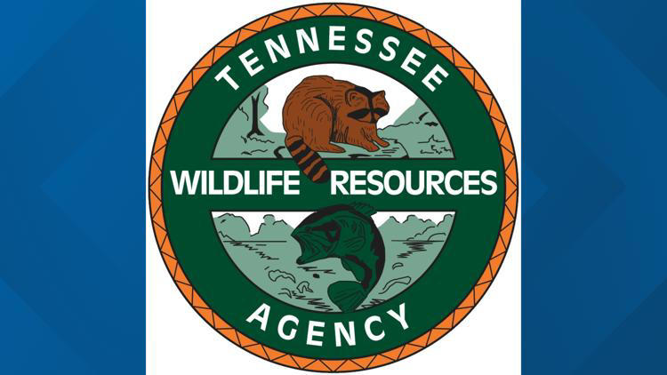 TWRA: Five people convicted of illegal hunting, wildlife crimes in TN, KY
