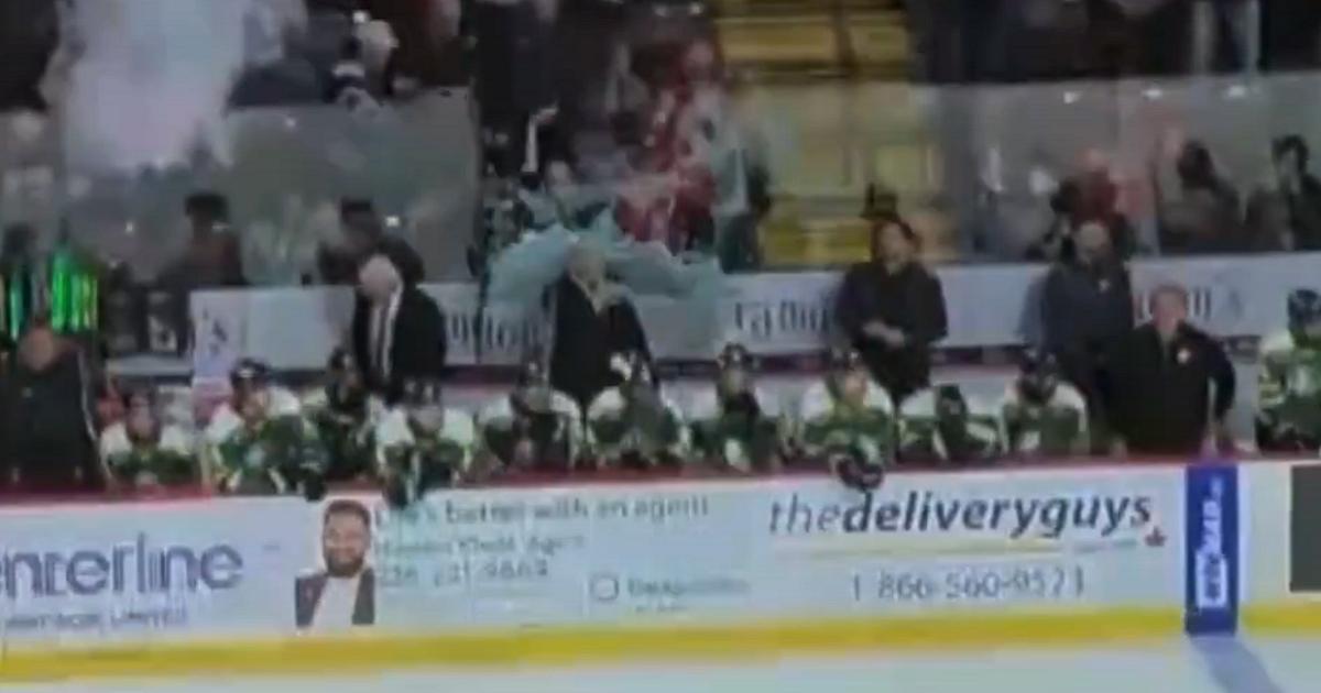 Dale Hunter slammed by glass after fan breaks through.