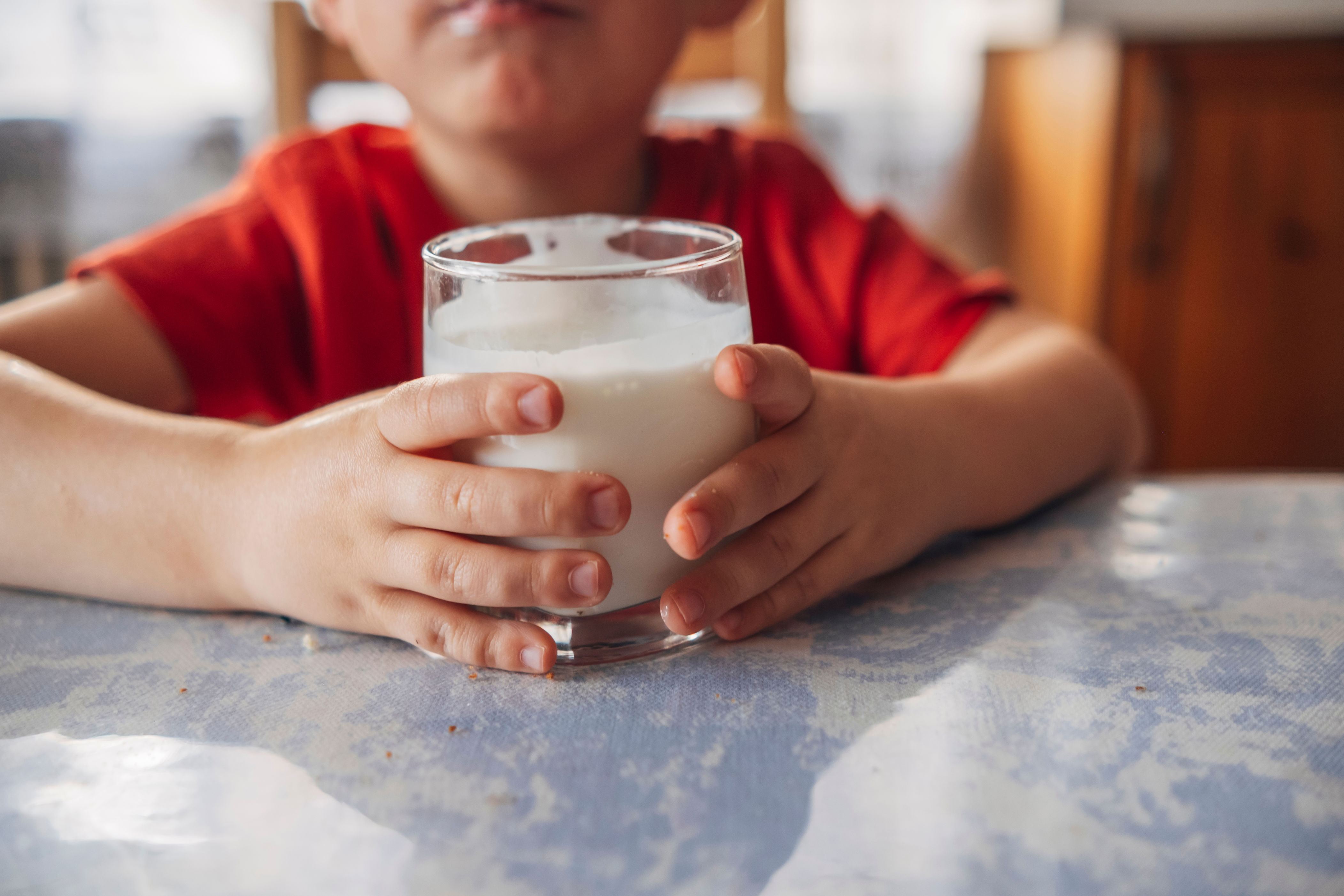 Child holding a glass of milk at a kitchen table, focus on hands and glass