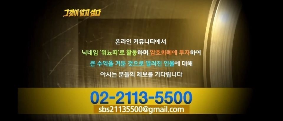 MSN 보도 캡처: 워뇨띠 제보 받는 이유