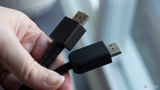 HDMI cords in hand.