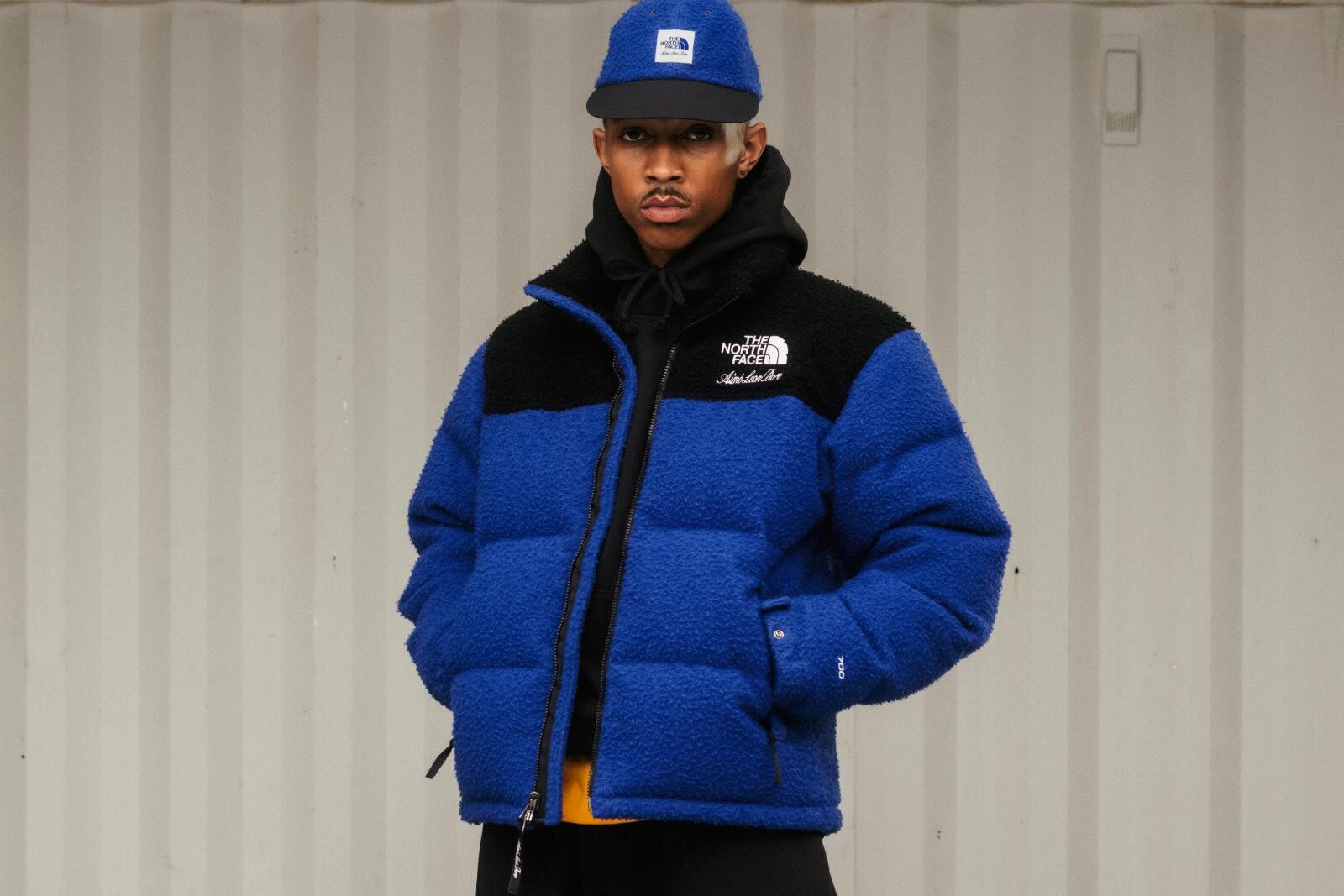 THE NORTH FACE x Aimé Leon Dore ナイロンデナリL 公式・限定】エメ