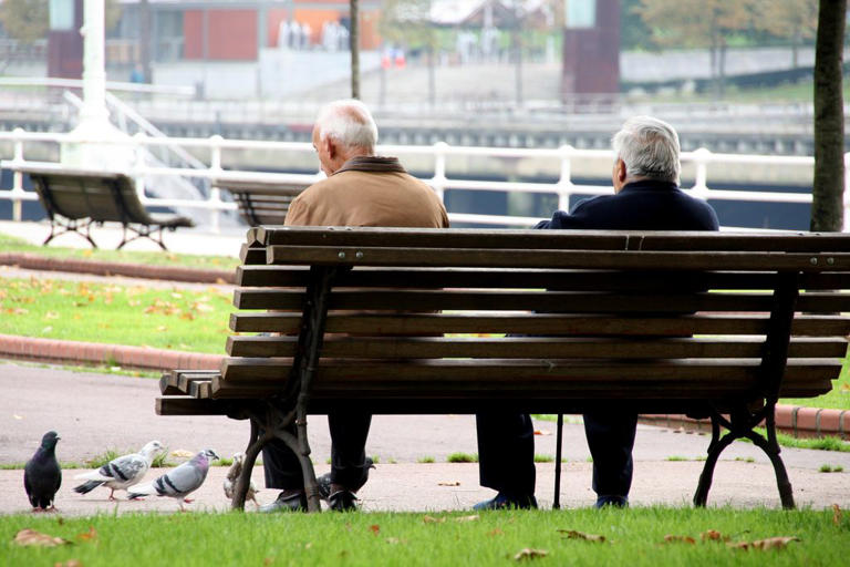 Así serán las pensiones en 2026 tras la subida oficial de los importes ...