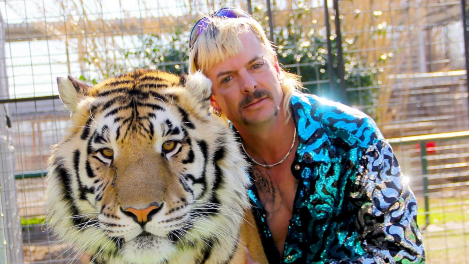 Tiger Attack 13 Photos Of 'Tiger King' Joe Exotic Resurface As