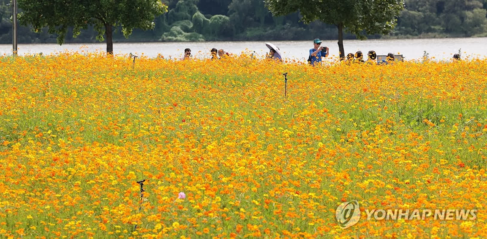 '추분' 아침 최저 14도…수요일 전국에 비