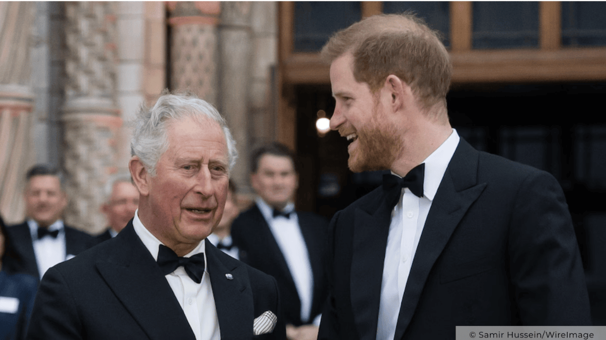 Royal Breakthrough The Secret Agreement Between Prince Harry and King(00)