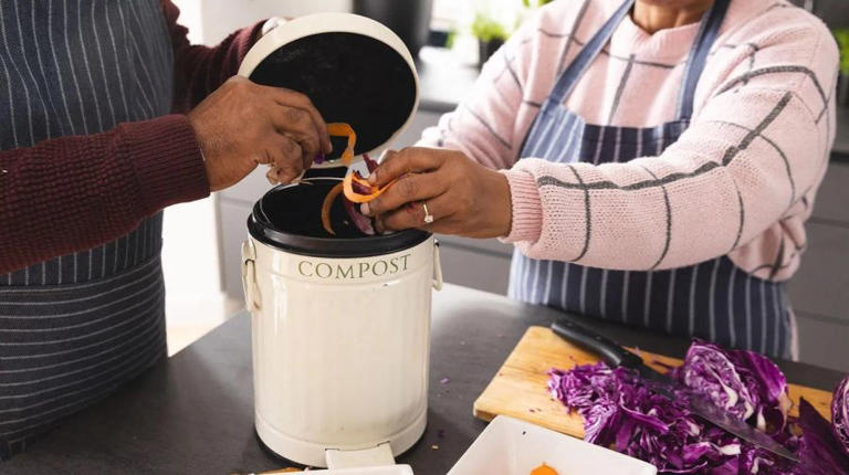 Composting at home: How to get started