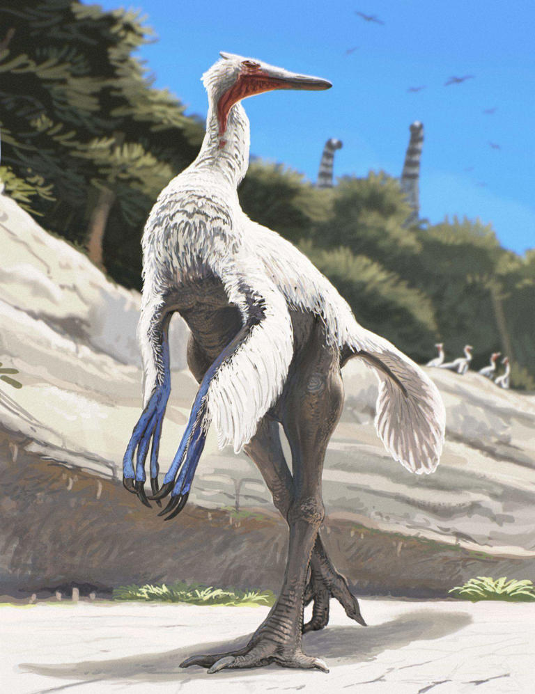 Remains of rare dinosaur - one of the fastest to have lived - found in ...