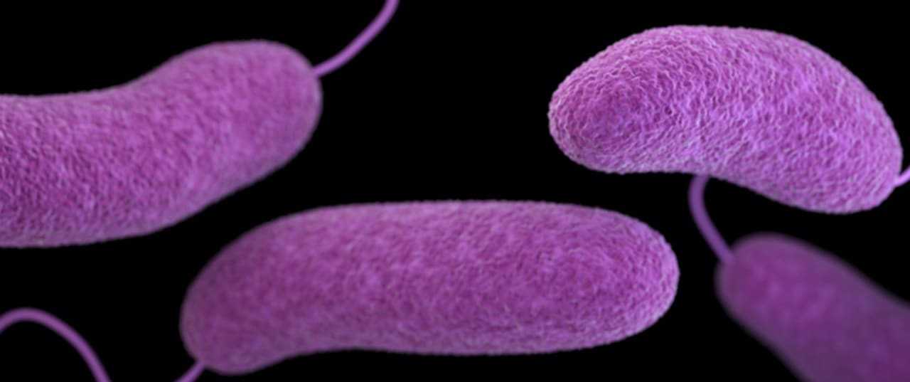 Health Officials Issue Warning After FleshEating Bacteria Kills 5