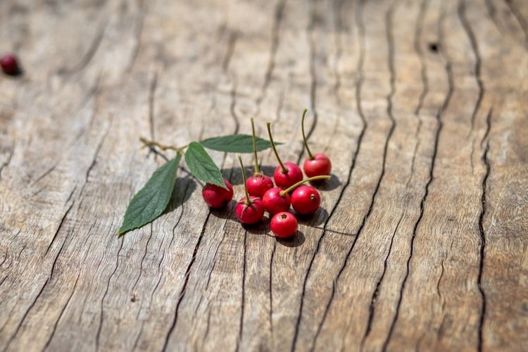 12 Manfaat Kersen yang Jarang Diketahui, Termasuk Cegah Serangan Jantung