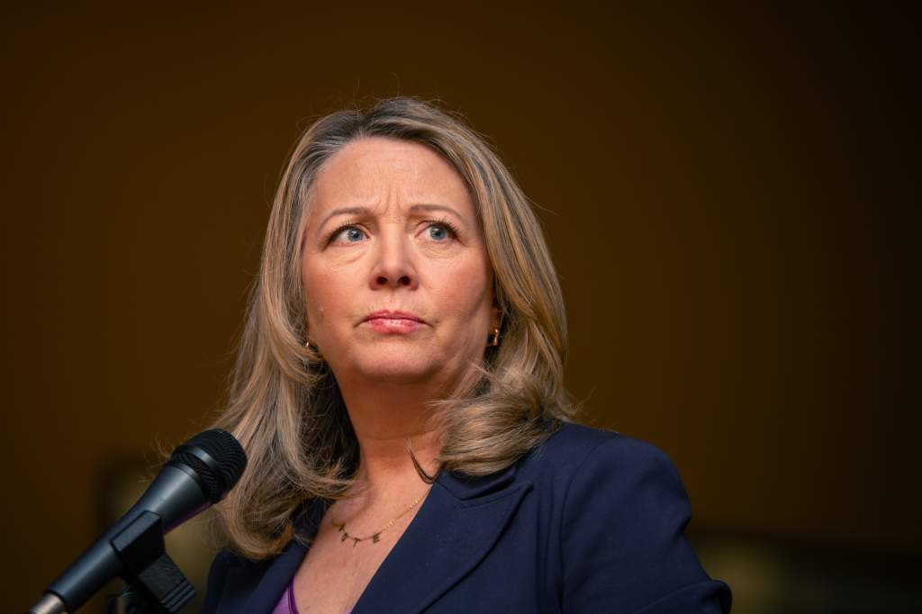 Ontario NDP leader shakes up top advisers after low support at party ...
