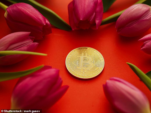 Waspadai penipu kripto: Tampaknya seperti euforia bawang merah tulip lagi, kata ALEX BRUMMER