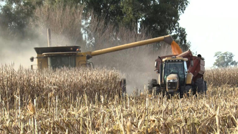 Argentina elimina impostos sobre exportação de grãos até 31 de outubro