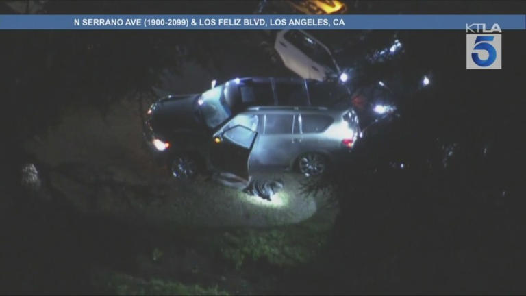 Pursuit suspect in custody after hourlong standoff with L.A. police