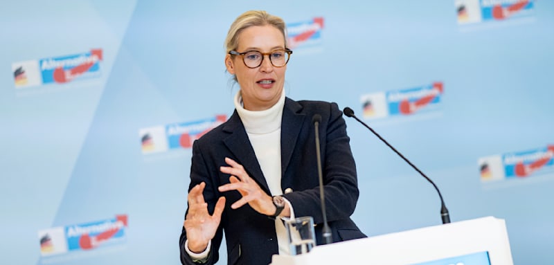 AfD baut Vorsprung vor Union aus – Weidel legt im Politikerranking zu ...