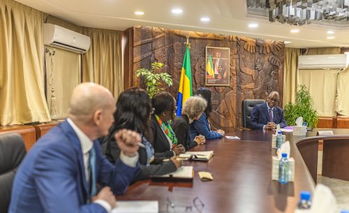 Une délégation de la Société Financière Internationale (SFI) reçue par Alexandre Barro Chambrier