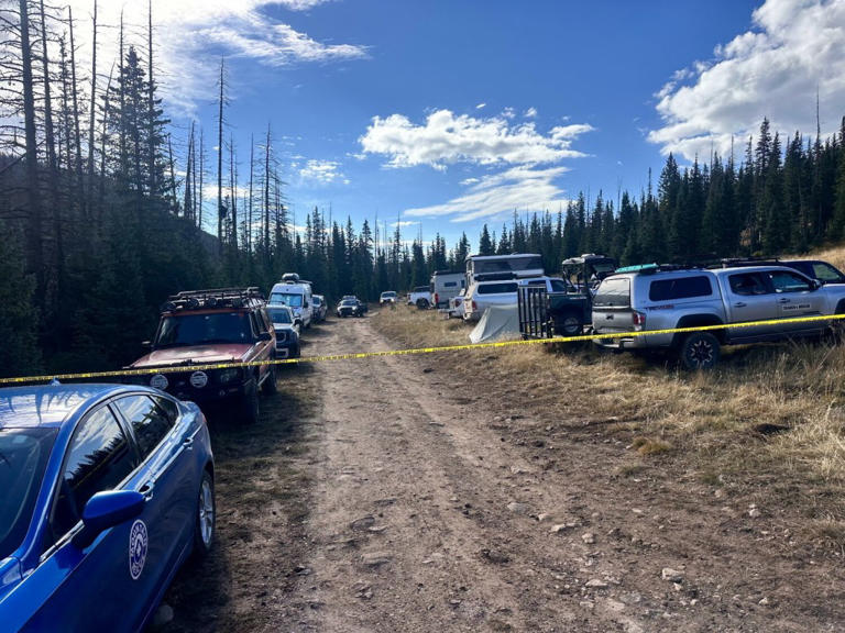 Two 25yearold elk hunters found dead in Colorado were struck by(01)