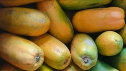 Buah Tropis: Manfaat Vitamin A dan C pada Pepaya untuk Kulit Sehat