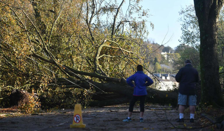 Met Eireann issue thunderstorm alert as Storm Amy looms
